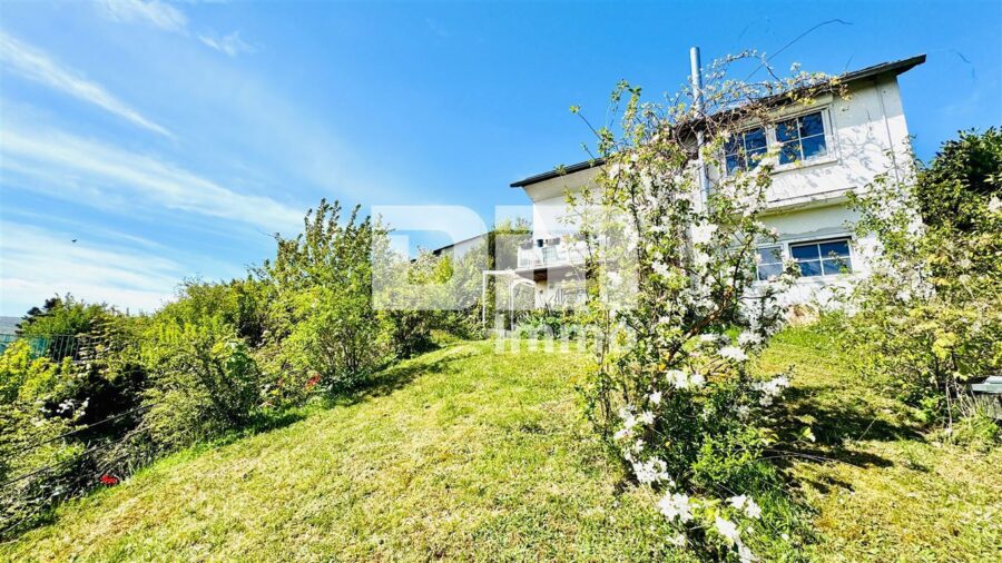 Umfangreich saniertes EFH inkl. PV-Anlage, Terrasse, Wintergarten und Garage - Vorgartenbereich